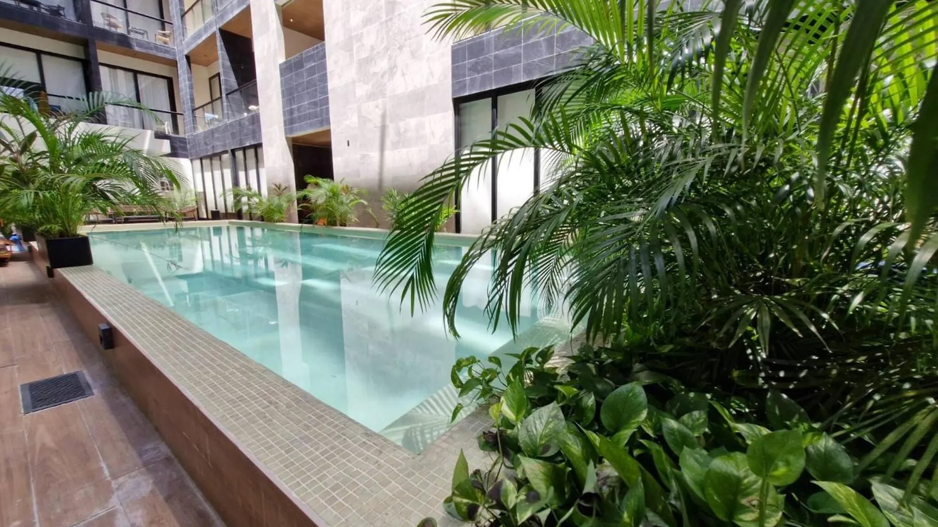 Luxury Apartment 2 Bedroom In Playa Del Carmen 105