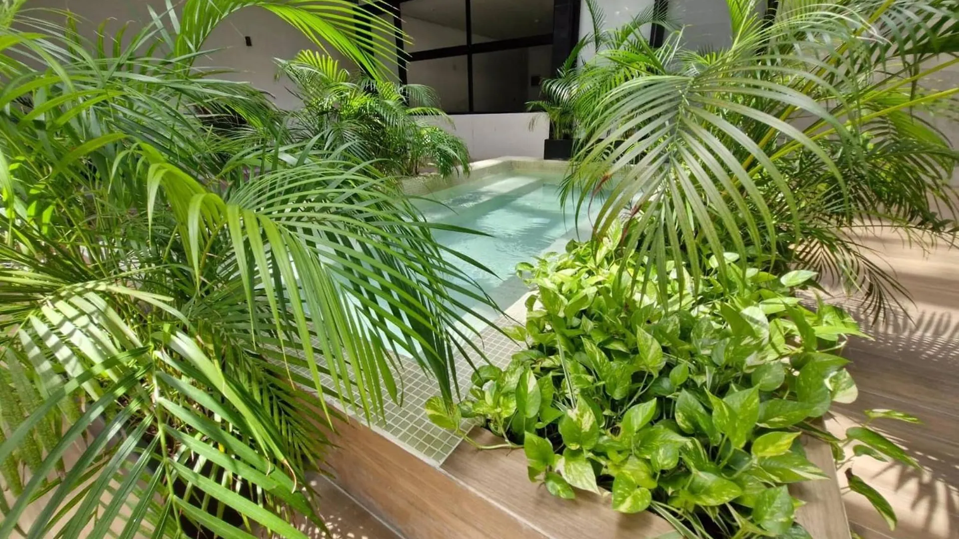 Luxury Apartment 2 Bedroom In Playa Del Carmen 105